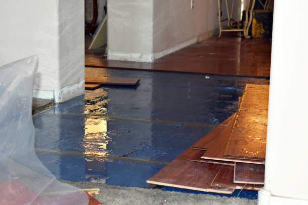 Professional Basement Flood Cleanup technician working in Waterville, WA